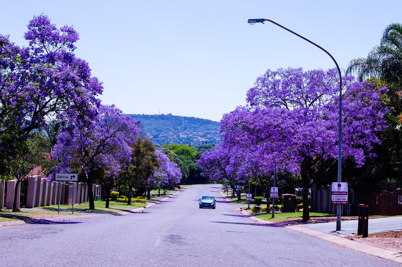 Du Lịch Nam Phi: Johanesburg-Pretoria-Pilanesberg-George-Cape Town